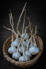 basket with garlic