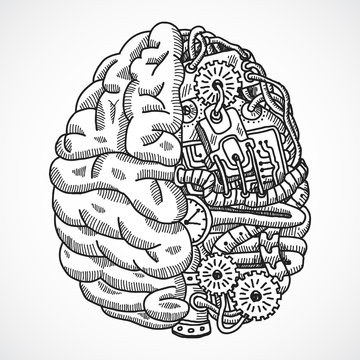 Brain As Processing Machine