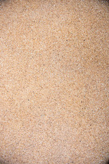 Sand texture for background. Close up, top view
