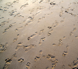 sand