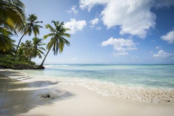 Idyllic Caribbean coastline