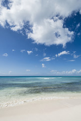 Fototapeta na wymiar Idyllic Caribbean coastline