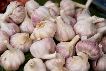 fresh garlic