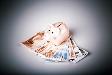 pig bank on euro banknotes