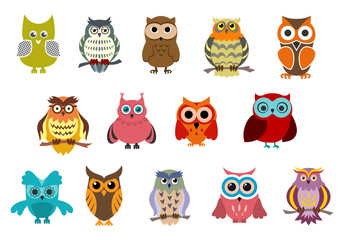 Naklejka premium Cartoon cute owl birds