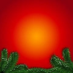 Red Winter abstract background with spruce twigs. Christmas vect