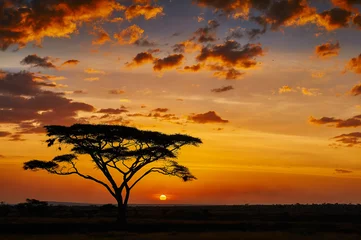 Fotobehang Afrikaanse zonsondergang © lucaar