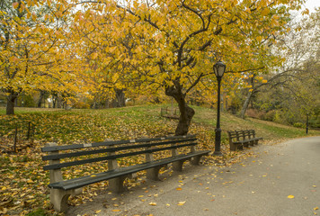 Plakat Central Park, New York City