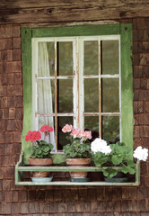 Fototapeta na wymiar finestra con fiori