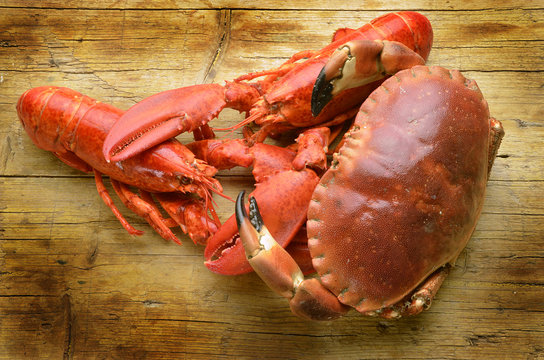 Cangrejo American lobster Amerikanischer Hummer Expo Milan 2015