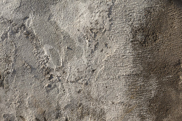 Part of old wall