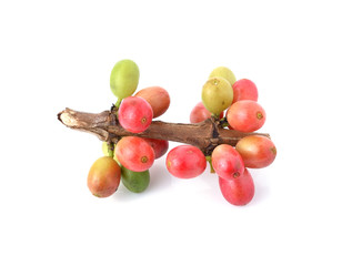 coffee beans isolated on white background