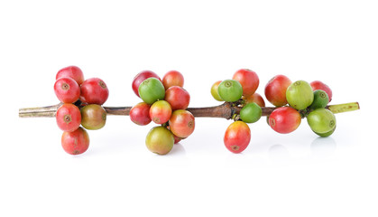 ripe coffee beans on white background
