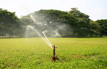 Water sprinkler in the park
