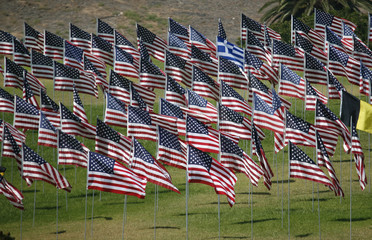 Memorial - US Flags 9/11