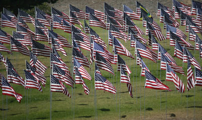 Flags Memorial 9/11