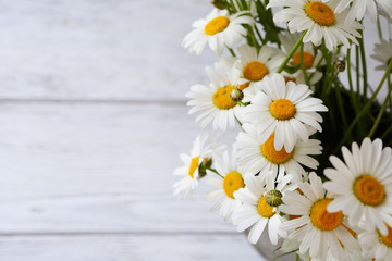 Beautiful white daisy
