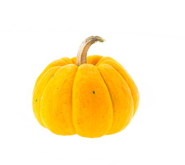 Pumpkin isolated on white