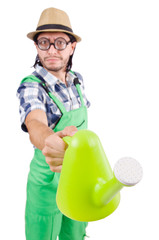 Funny gardener with watering can isolated on white