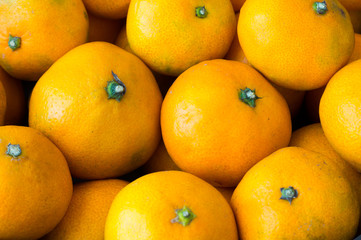 Group of Oranges