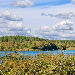 beautiful autumn landscape