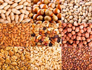collage of  dried nuts