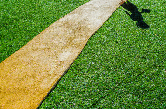 image of Artificial grass path way .