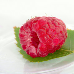 Isolated image of raspberries