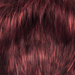 Hair fragment as a background composition