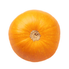 Orange pumpkin isolated