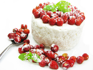 dairy pudding dessert with wild strawberry berries
