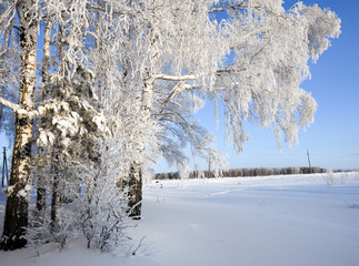 winter landscape © salman2