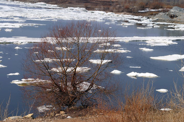 spring break © salman2