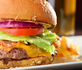 American cheese burger with fresh salad and french fries