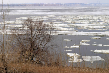 spring break © salman2