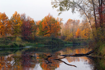 Fototapeta premium autumn landscape