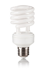 fluorescent light bulb