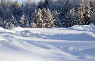 winter landscape