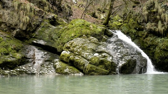 beautiful spring, zeleni vir