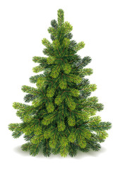 Naklejka premium Detailed Christmas Tree