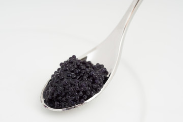 Fototapeta na wymiar Caviar on a spoon over white plate