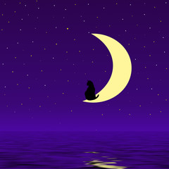 Obraz na płótnie Canvas cat in the moon