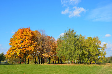 Москва, осень в парке