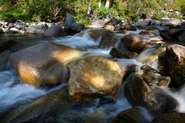 fast stream of the mountain river