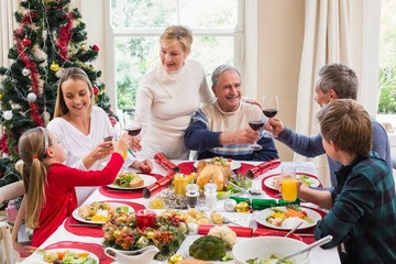 Family toasting with red wine in a christmas dinner