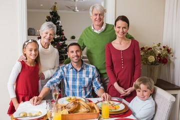 Smiling extended family looking at camera at christmas time