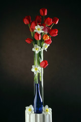 spring flowers