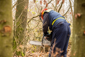 engineer of the german federal agency for technical relief thw i