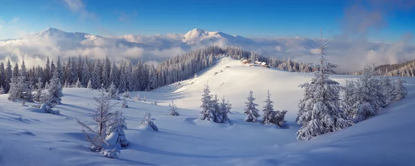 Deurstickers Winter Winterlandschap