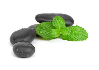 Fresh mint on the black stones with drops